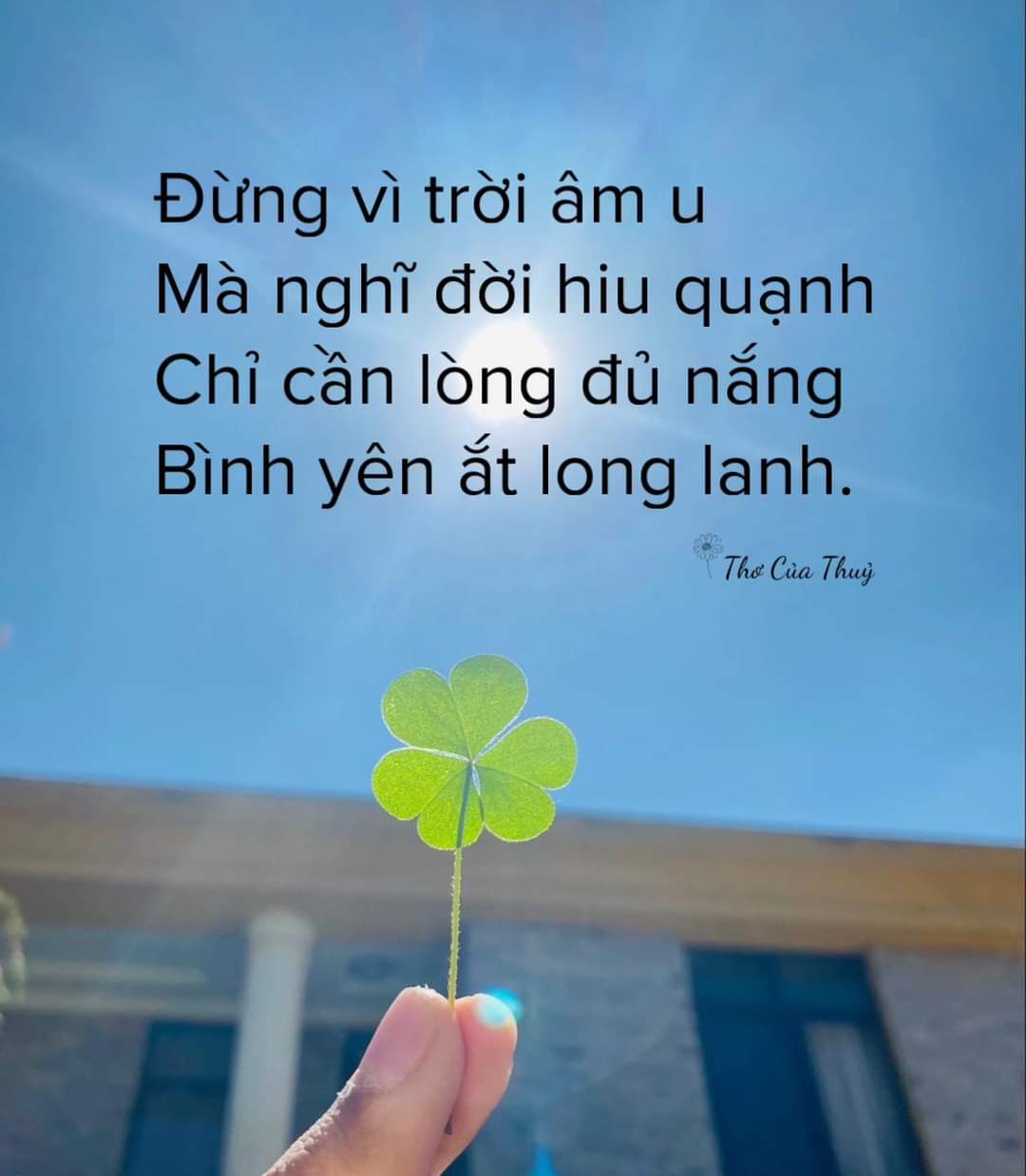 FB_IMG_1722744677531.jpg
