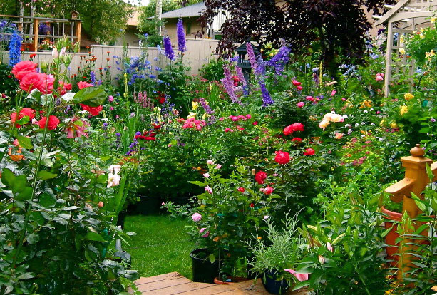 flower-garden-designs-3-images[1].jpg