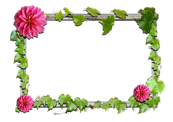 Flowers_frame (9).png