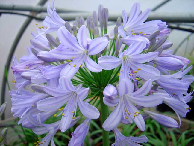 gallery_220.jpg