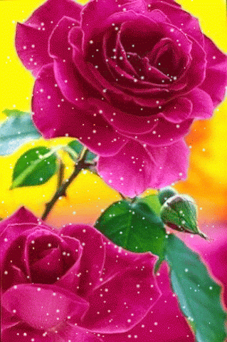 GIF-15.gif