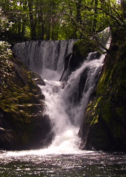 GIF-4.gif