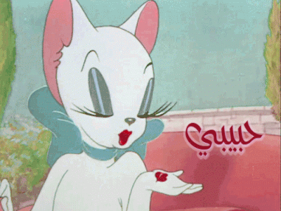 gif.gif