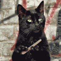 giphy (1).gif
