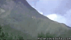 giphy-1.gif
