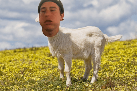 giphy (1).gif