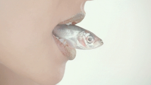 giphy (13).gif