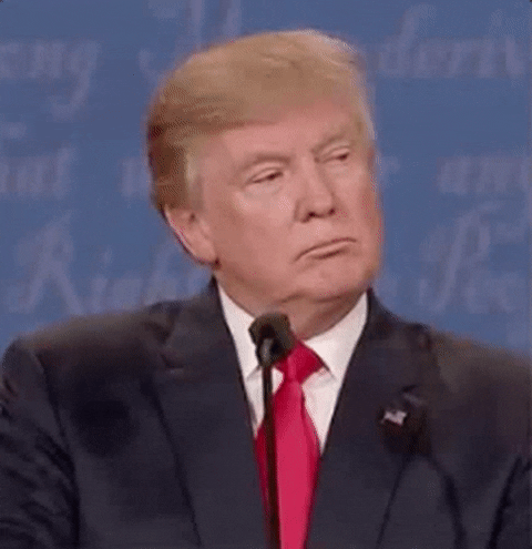 giphy (3).gif
