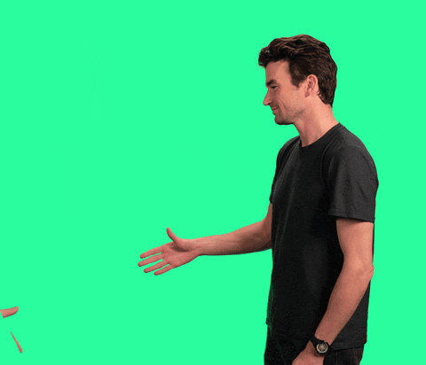 giphy (33).gif