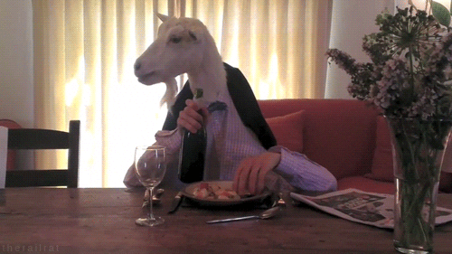 giphy (4).gif