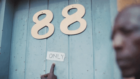 giphy (5).gif