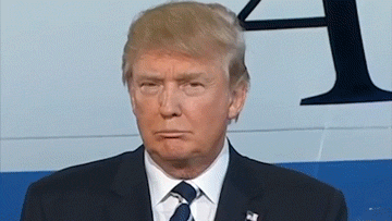 giphy (6).gif
