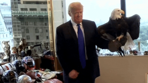 giphy (6).gif