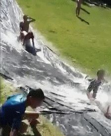 giphy (7).gif