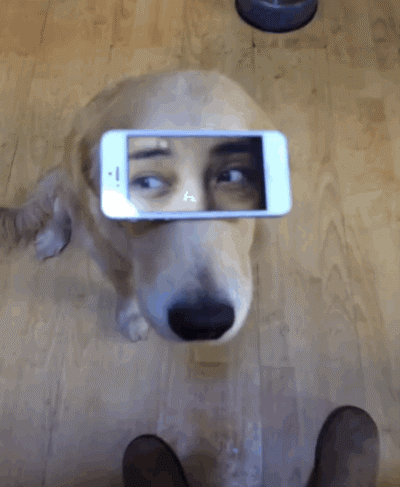 giphy-8.gif