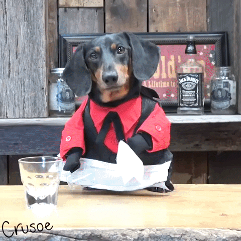giphy (8).gif