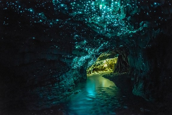 Glow-worm-cave-new-zealand[1].jpg