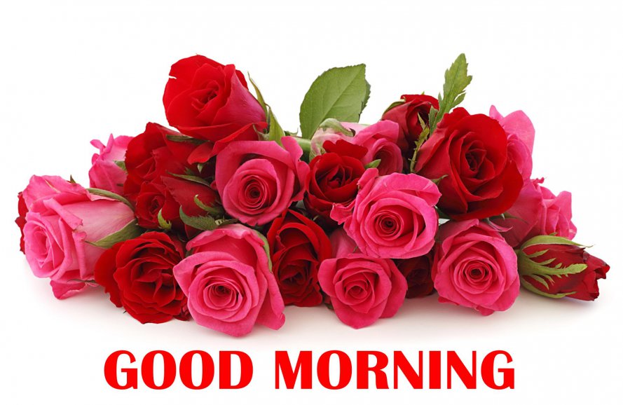 Good-Morning-Rose-Flowers-Bunch-HD-Wallpaper-01753.jpg