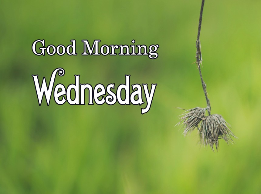 Good-Morning-Wednesday-M (2).jpg