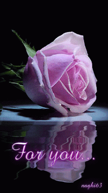gplus1800235568.gif