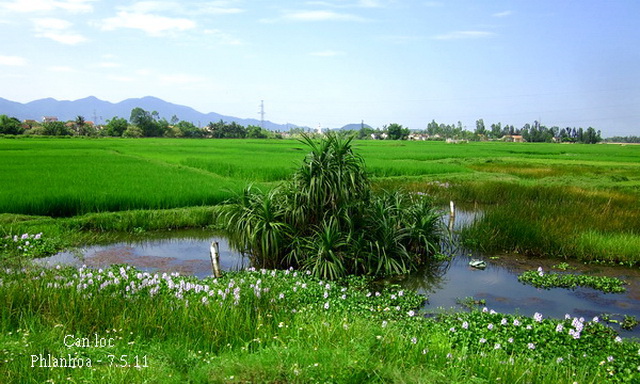 ha%20tinh%20-%20dong%20can%20loc[1].jpg