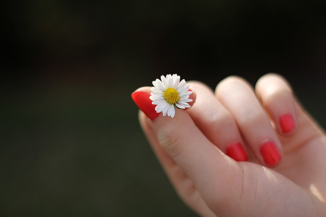 hand-302802_640.jpg