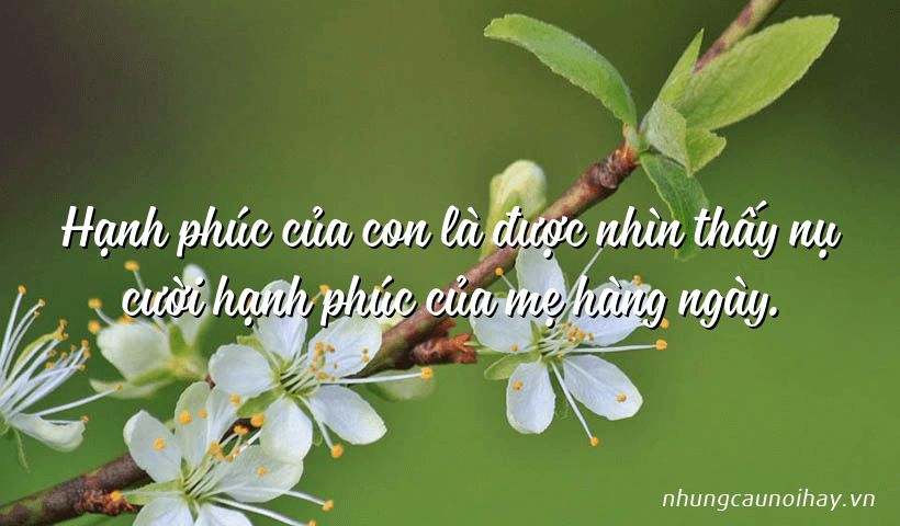 hanh-phuc-cua-con-la-duoc-nhin-thay-nu-cuoi-hanh-phuc-cua-me-hang-ngay.jpg