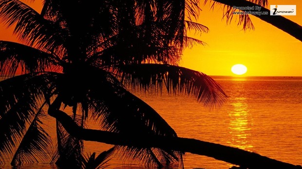hd-wallpapers-scenic-desktop-wallpaper-sunset-1920x1080-wallpaper_display[1].jpg