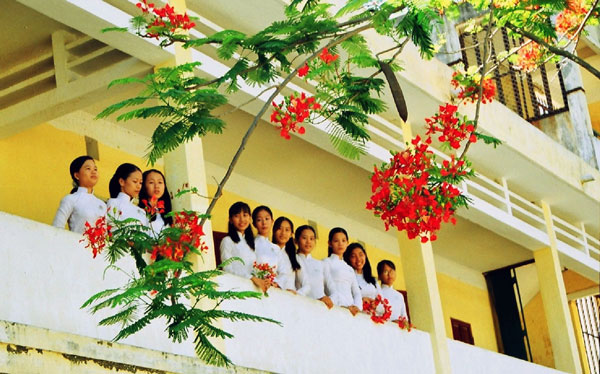 hinh-anh-_tuoi-hoc-tro-duoi-nhung-canh-phuong-roi_(4)__62996_zoom[1].jpg