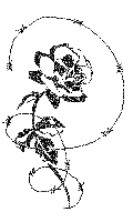 Hinh-anh-dong-dep-ve-hoa-hong-ruc-ro-sac-mau- (17).gif