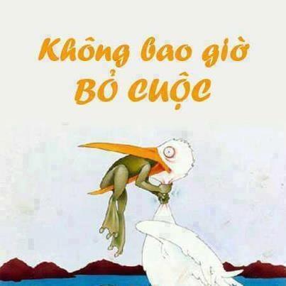 hinh-anh-hai-huoc (1).jpg