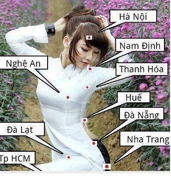 hinh-anh-hai-huoc-nhat-2.png