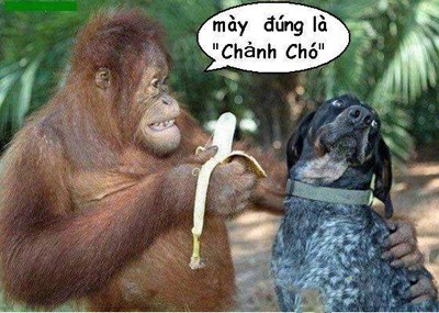 hinh-anh-hai-huoc-nhat-26.jpg