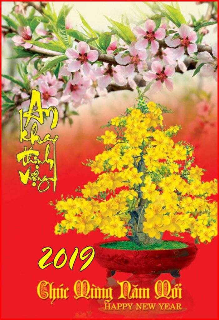 hinh-chuc-tet-2019-dep-7.jpg