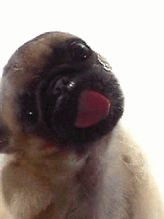 Hinh-dong-dep-cho-dien-thoai (95).gif