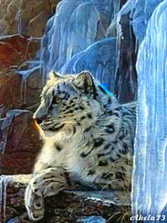 hinh-nen-dong-thien-nhien-4.gif