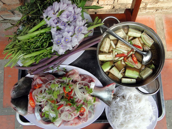 hoa-luc-binh-an-lau-mam[1].jpg