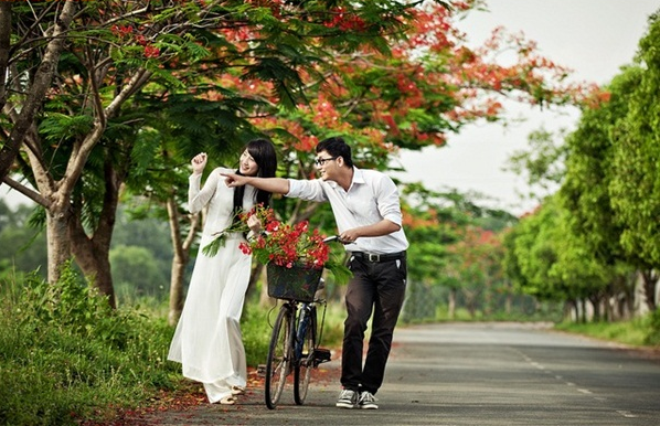 hoa-phuong1[1].png