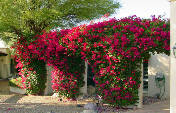 hoagiay7-4546-1459847602.jpg