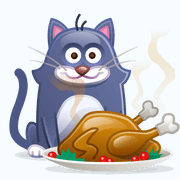hungrycat.gif