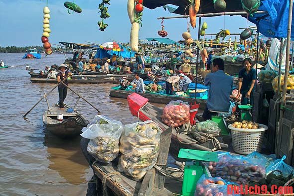 huong-dan-du-lich-cho-noi-cai-rang-1[1].jpg