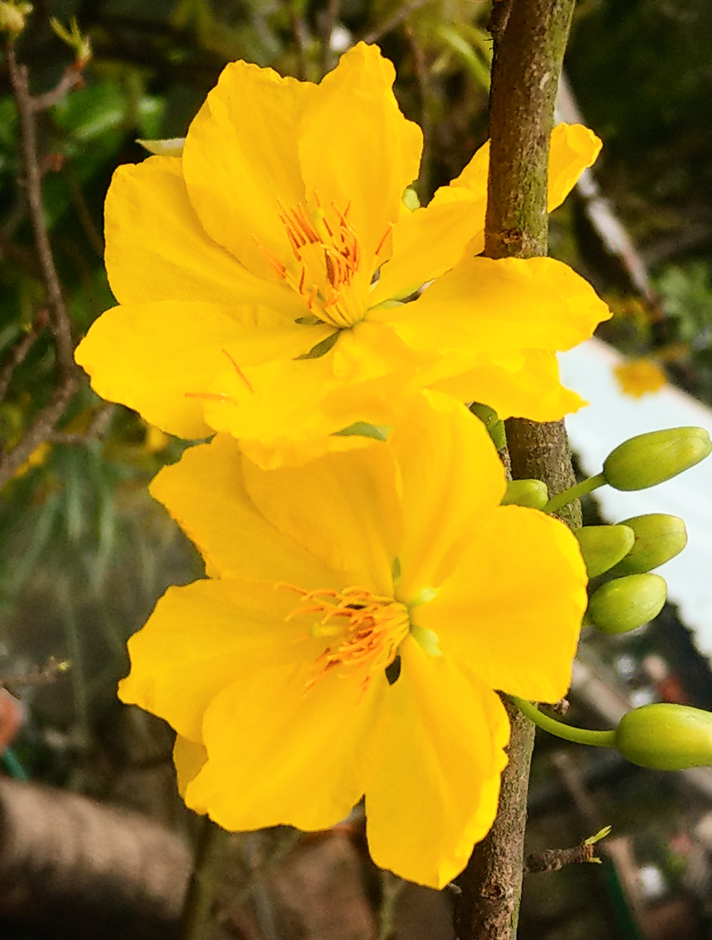 IMAG0134.jpg