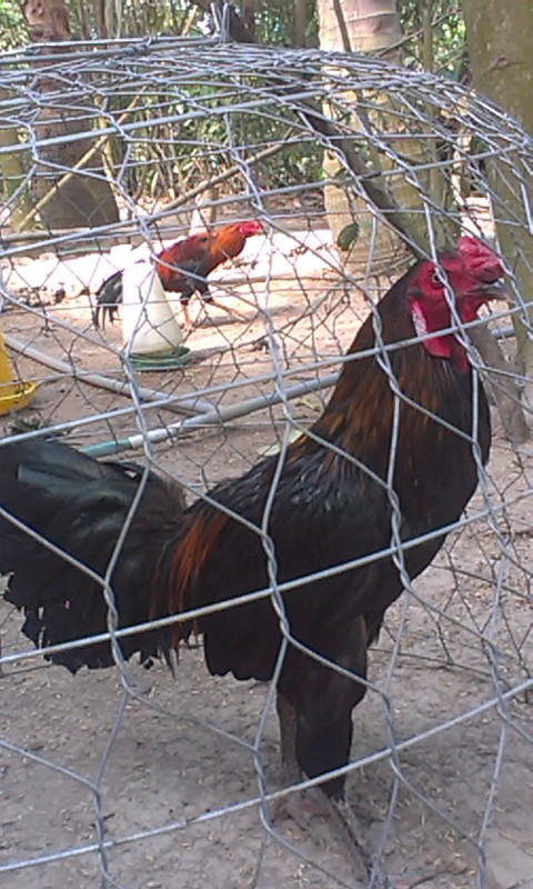 IMAG2013.jpg
