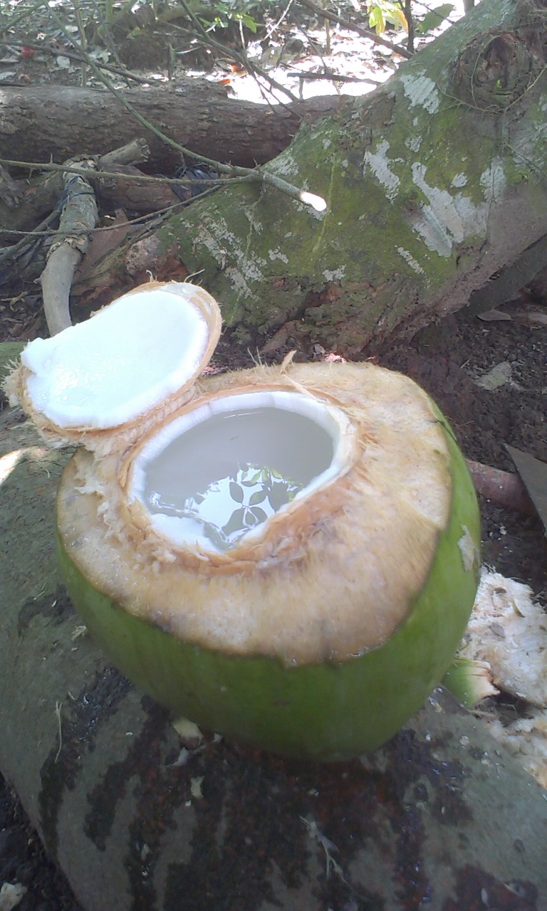 IMAG2125.jpg