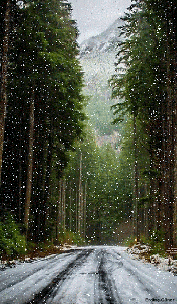 image-66.gif