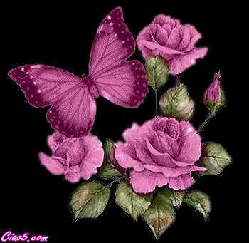 image.gif