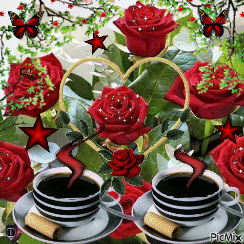 image.gif
