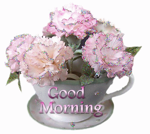 image.gif