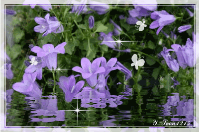 image.gif