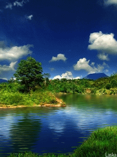 image.gif